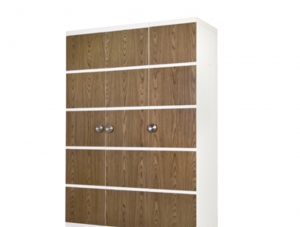 Tủ quần áo lùa hiện đại BK-04